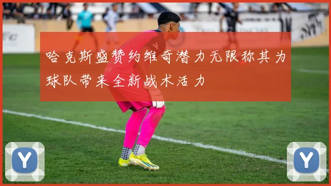 哈克斯盛赞约维奇潜力无限称其为球队带来全新战术活力