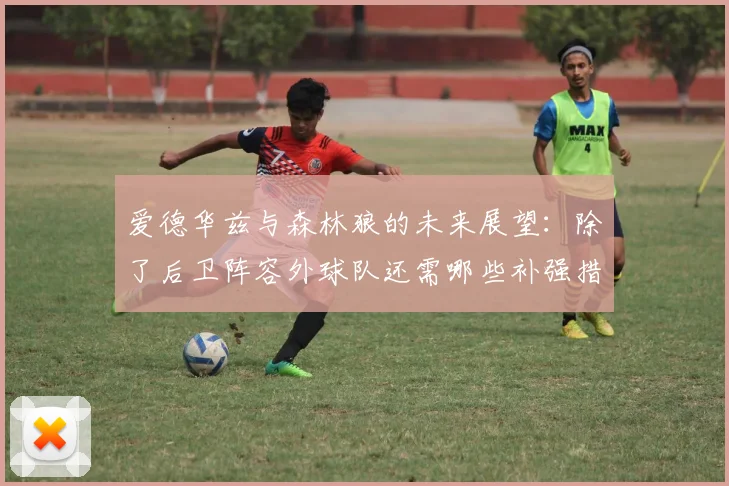 爱德华兹与森林狼的未来展望：除了后卫阵容外球队还需哪些补强措施